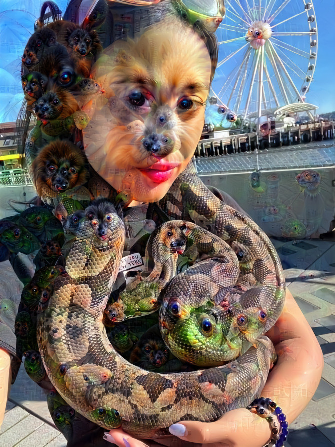 Jonny Snake in Seattle