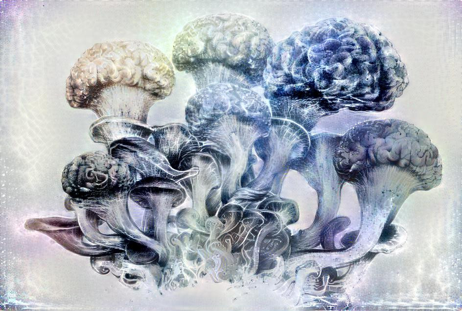 "Magic mushrooms"