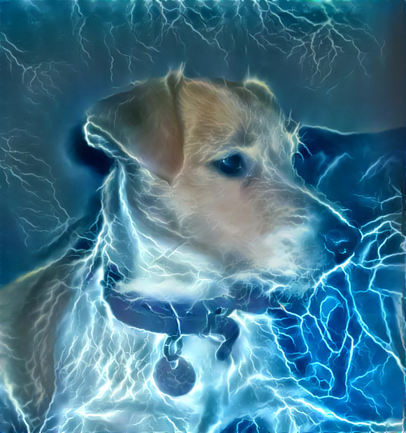 Lightning Doggo