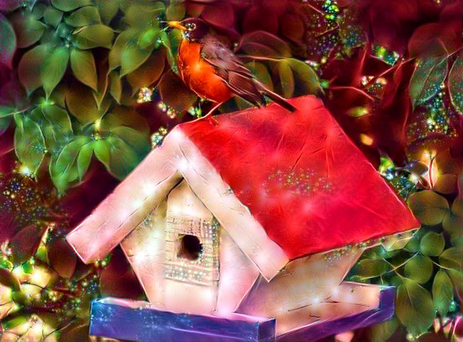 Large Robin / Small Birdhouse