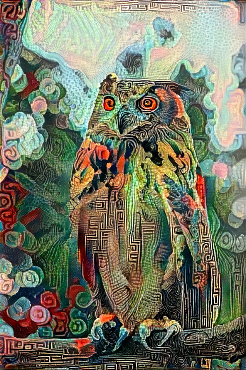 Confused Owl