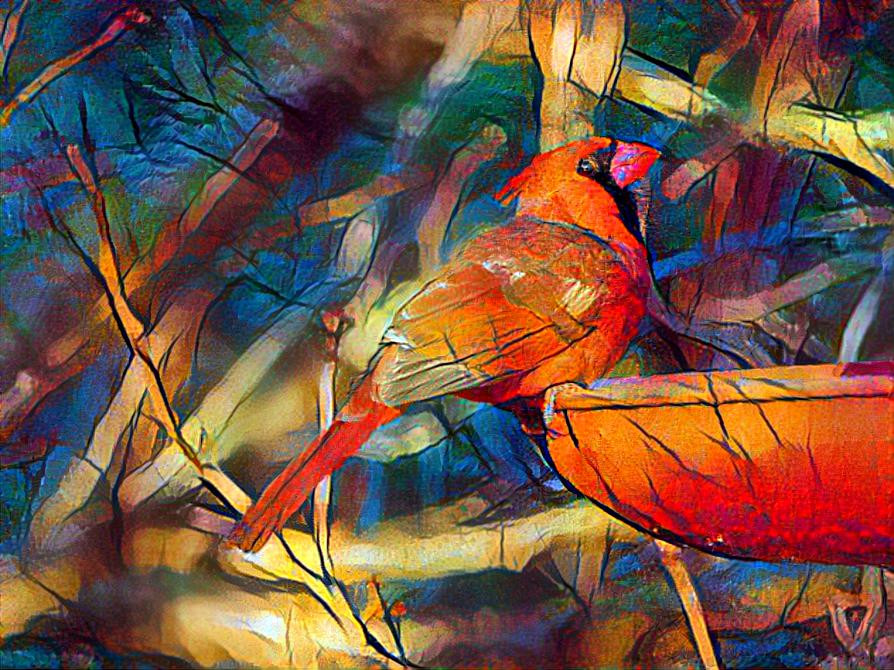 Cardinal Ready for a Drink at the Bird Bath