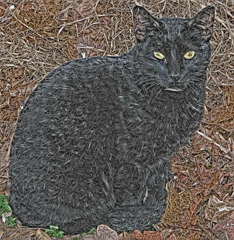 Black Cat & Mulch