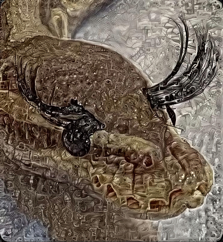 Snake and lashes