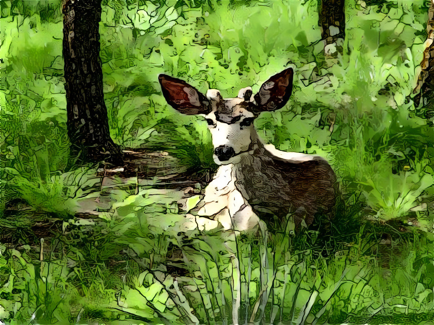 Little boy deer