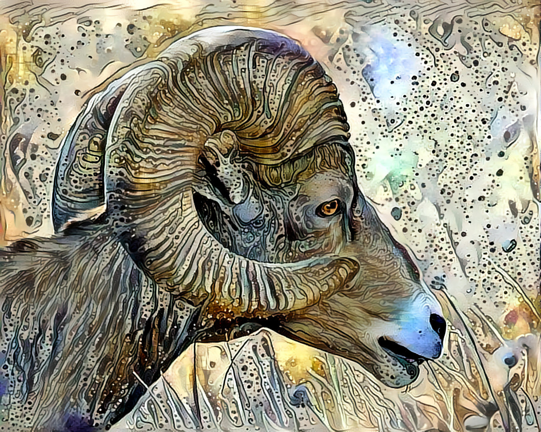 Bighorn in the Meadow