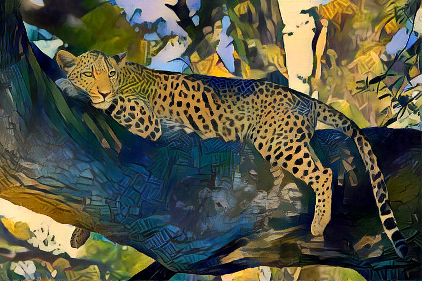 Gepard, the fastest running animal, having a rest
