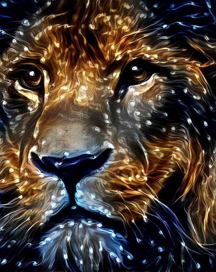 Alpha Male Lion