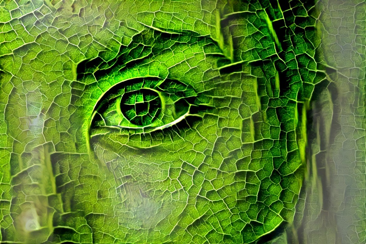 Leaf Eye