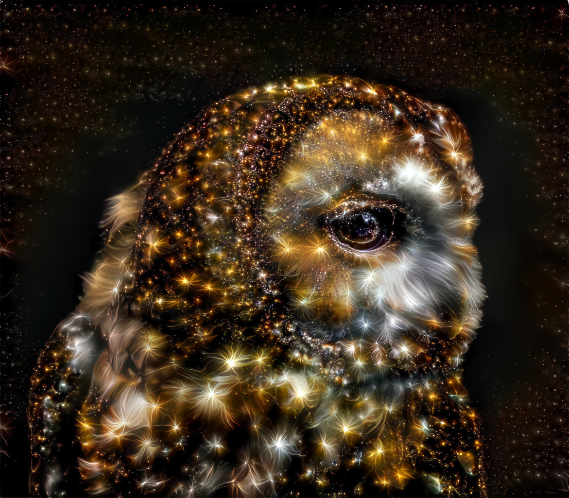 No Owl is Afraid of the Night ~ Style introduced by Hallbe ;^}