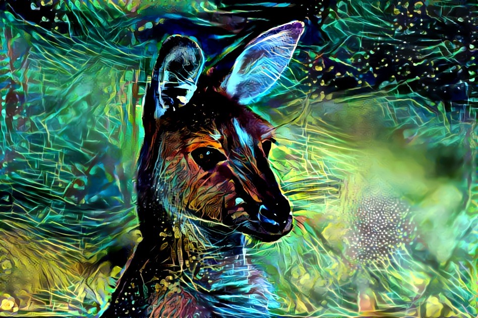 Redreaming Extinction Series: Kangaroo Dreaming