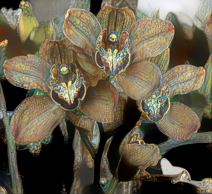 Orchid Spray 04.20 | MR D 80%