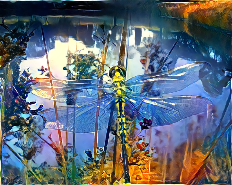 'Dragonfly at the Roseville Lake.' Style: David Galchutt, Richard Burbridge and Irma. Base image: ©Alison Lee Cousland: Licensed under CC Attribution-ShareAlike 4.0 International License.