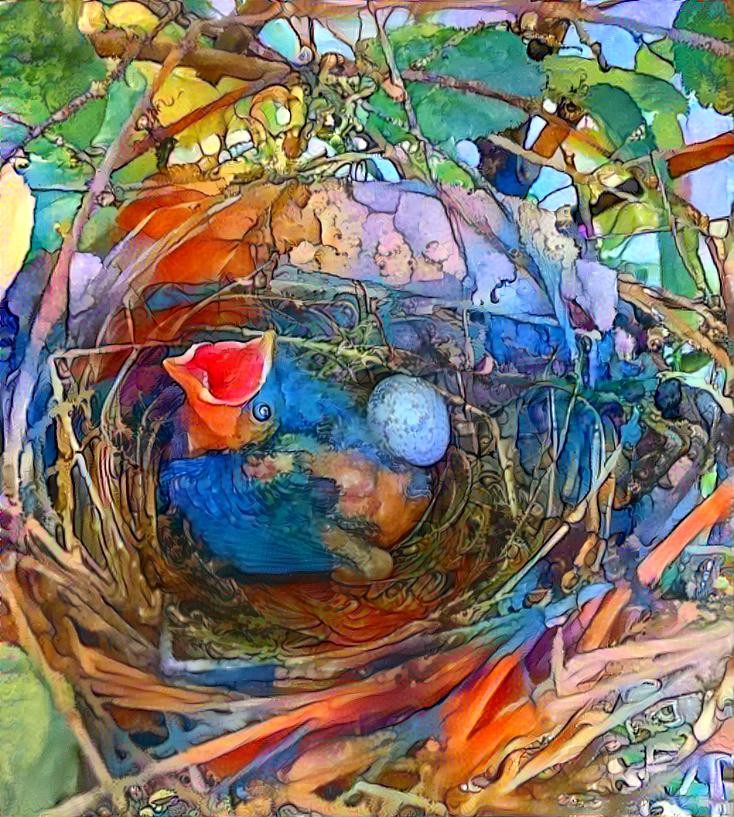 Cardinal Chick and Egg in Nest