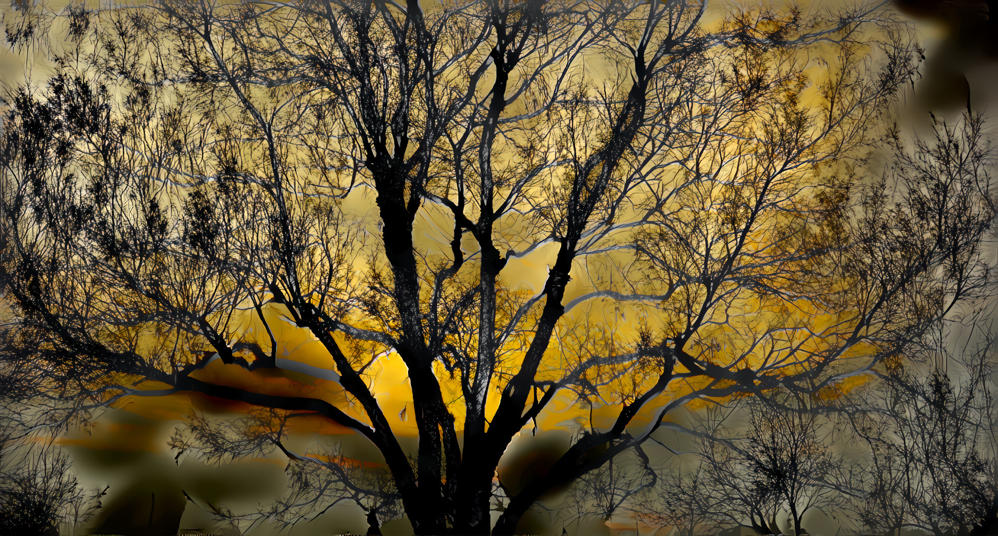 Autumn Tree at Twilight