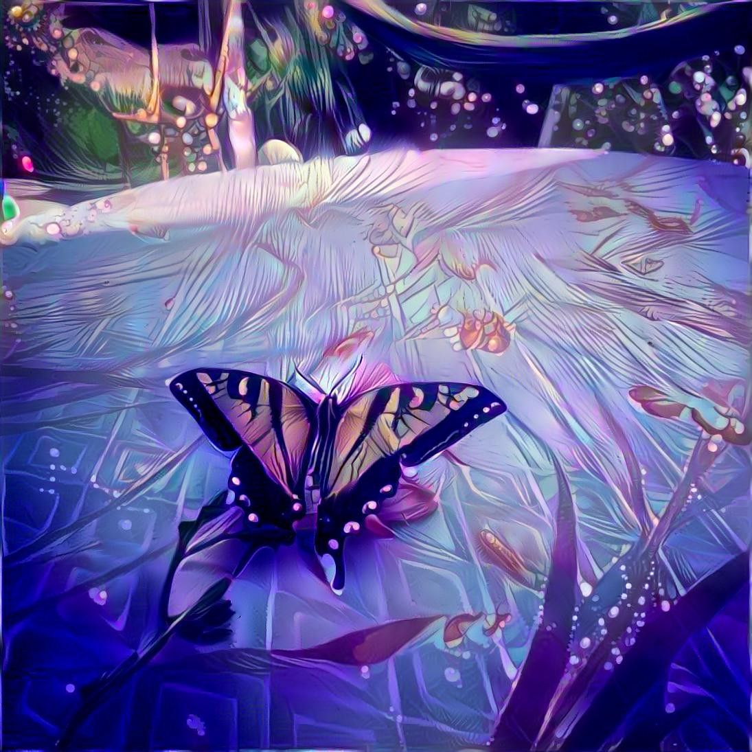 The purple butterfly