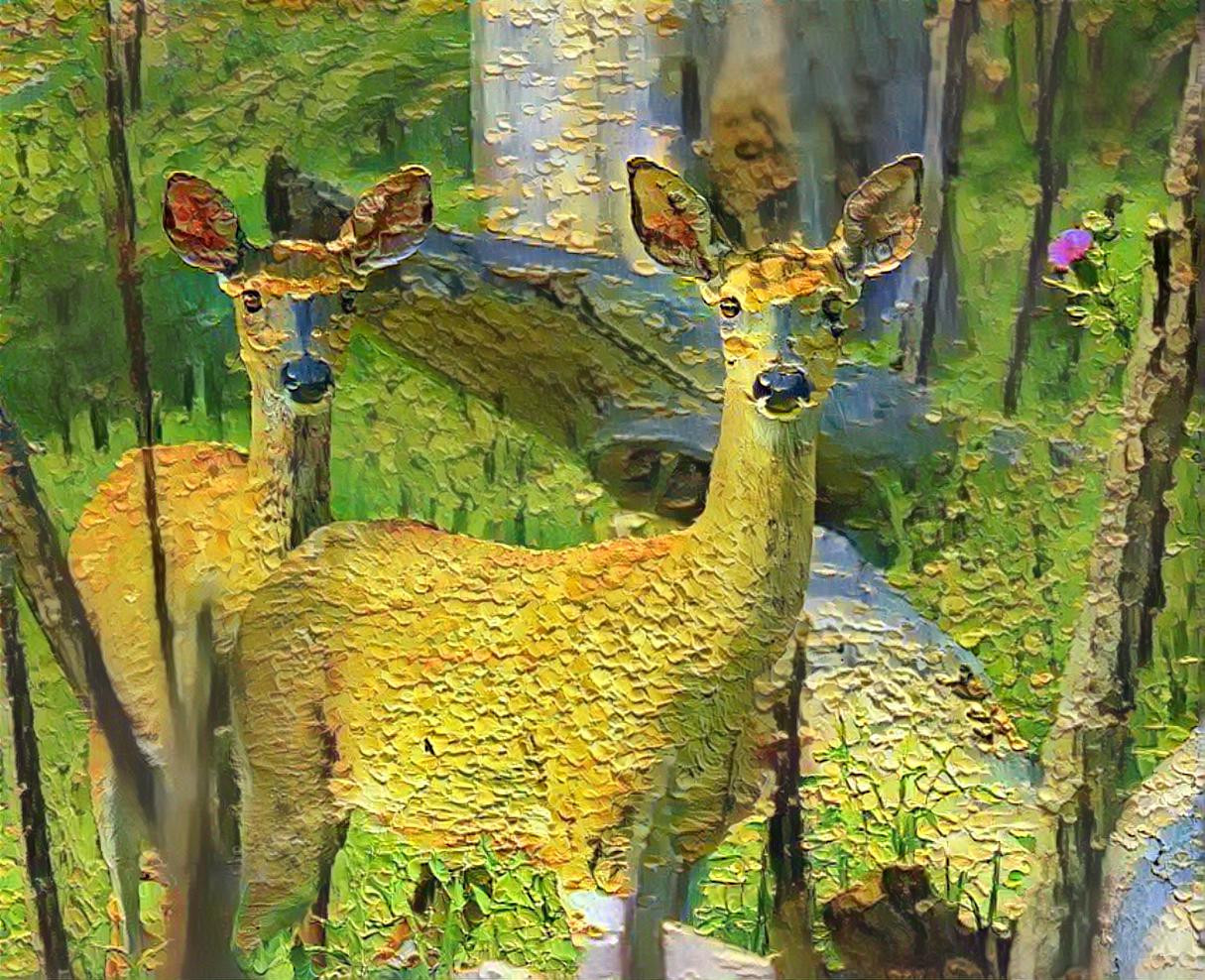 Spring Deer 