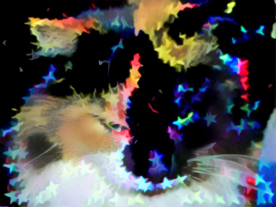 Starry dream cat
