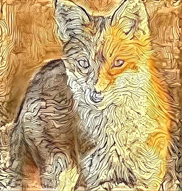 Lined fox