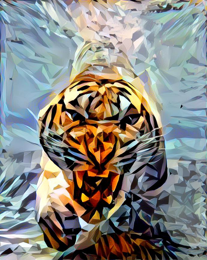 Tiger in water 