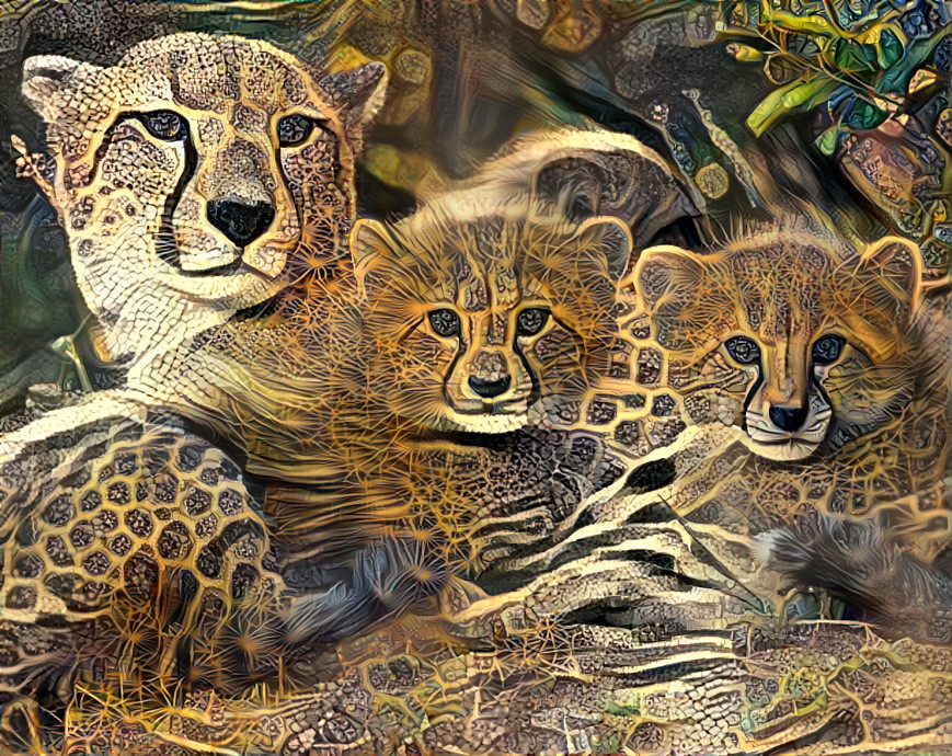 Mom And Her Three Cubs