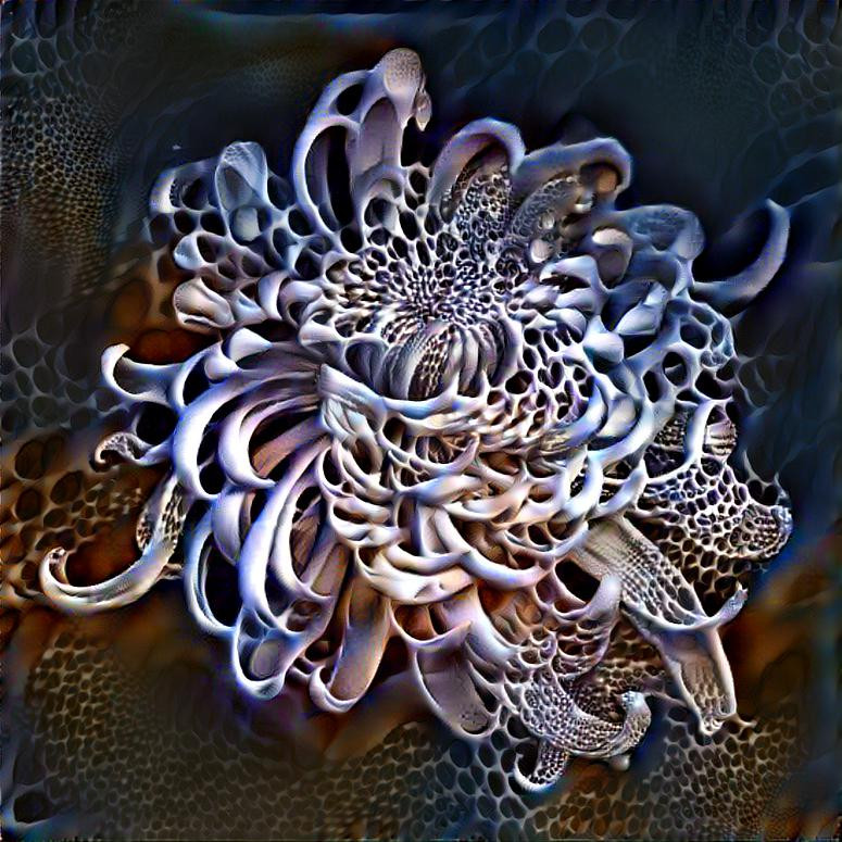 Fleur fractal
