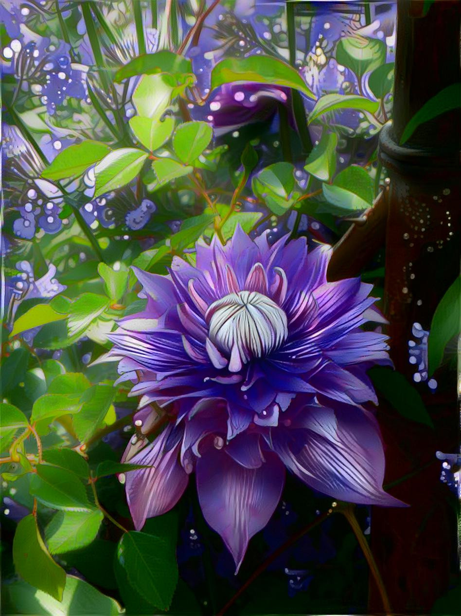 Purple Night Bloom