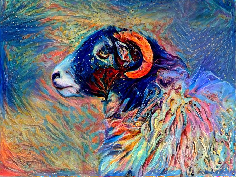 Festive Sheep