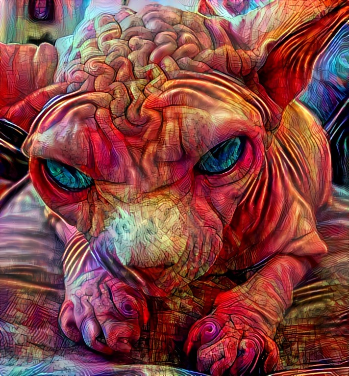Original:  https://www.reddit.com/r/photoshopbattles/comments/cz42fh/psbattle_this_very_wrinkly_cat/ . Style by me