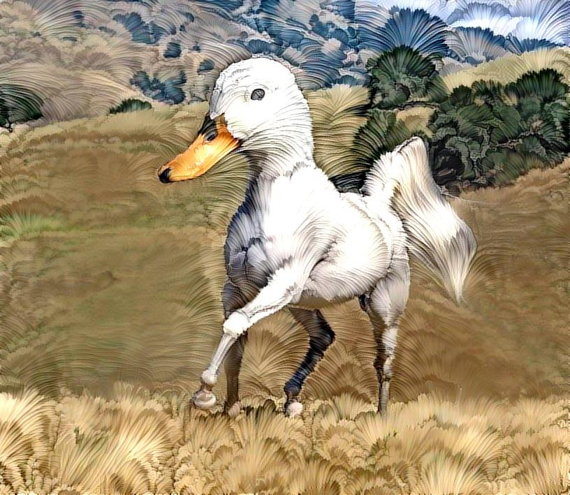 duck horse 