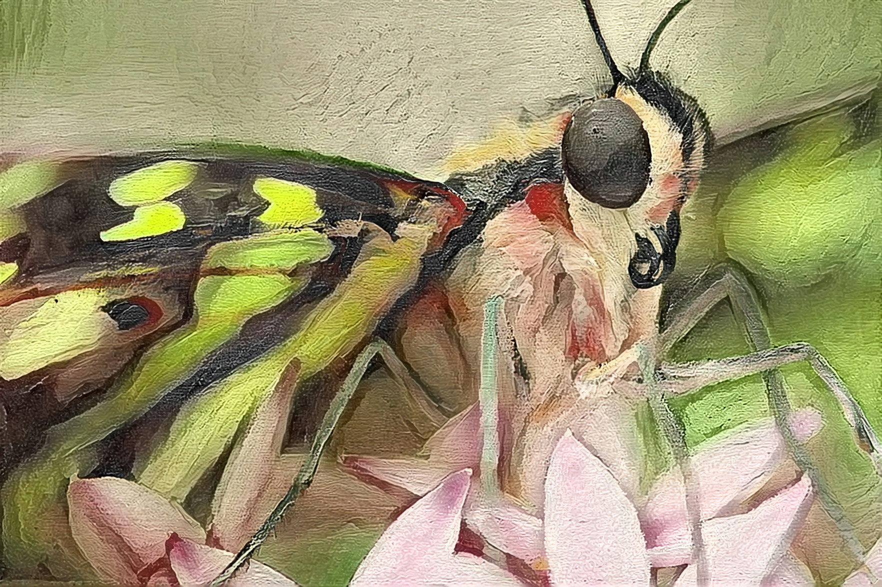 Eastern Tiger Swallowtail, Pink, Coral, Chartreuse