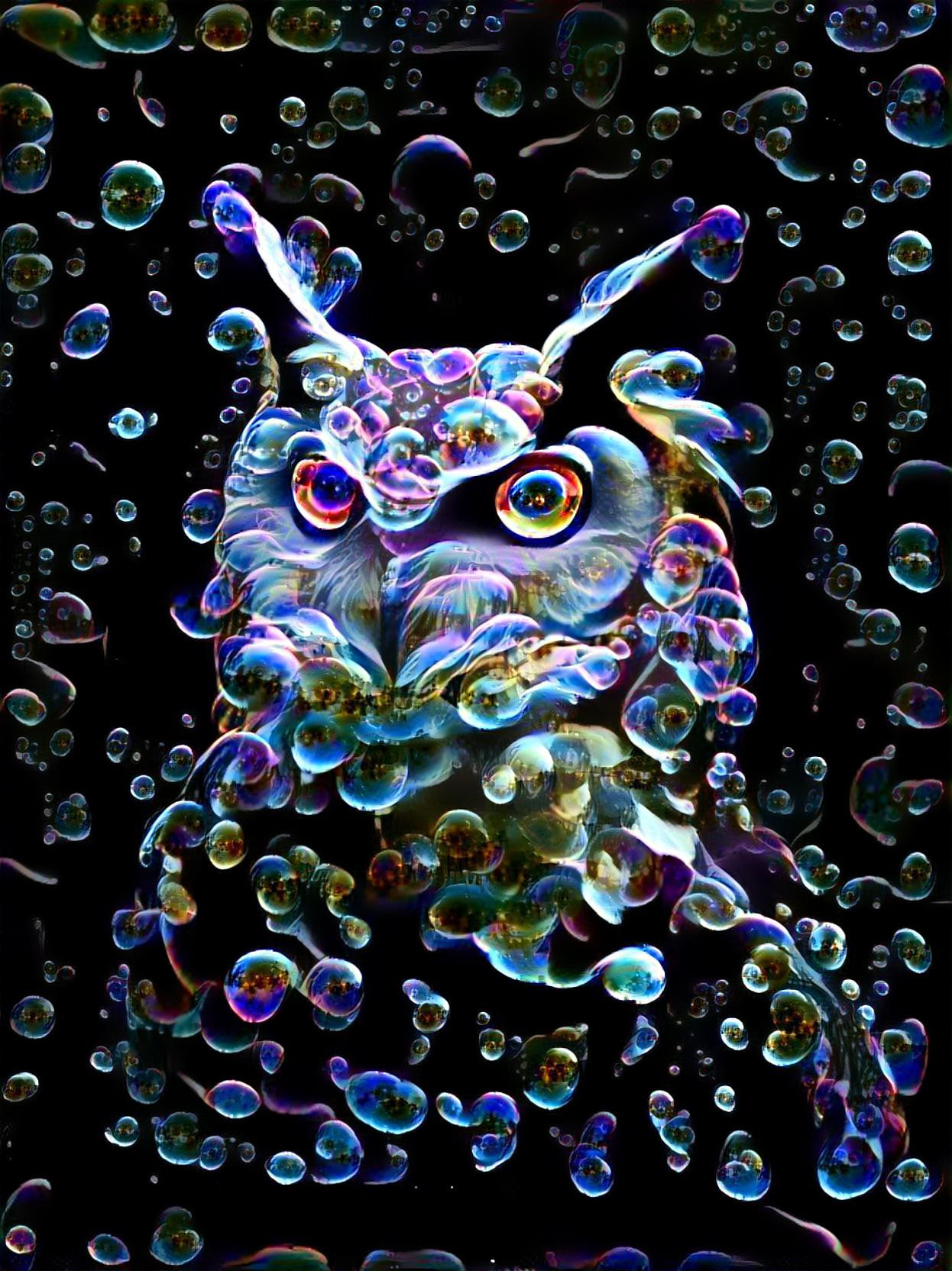  Bubbles the Owl 