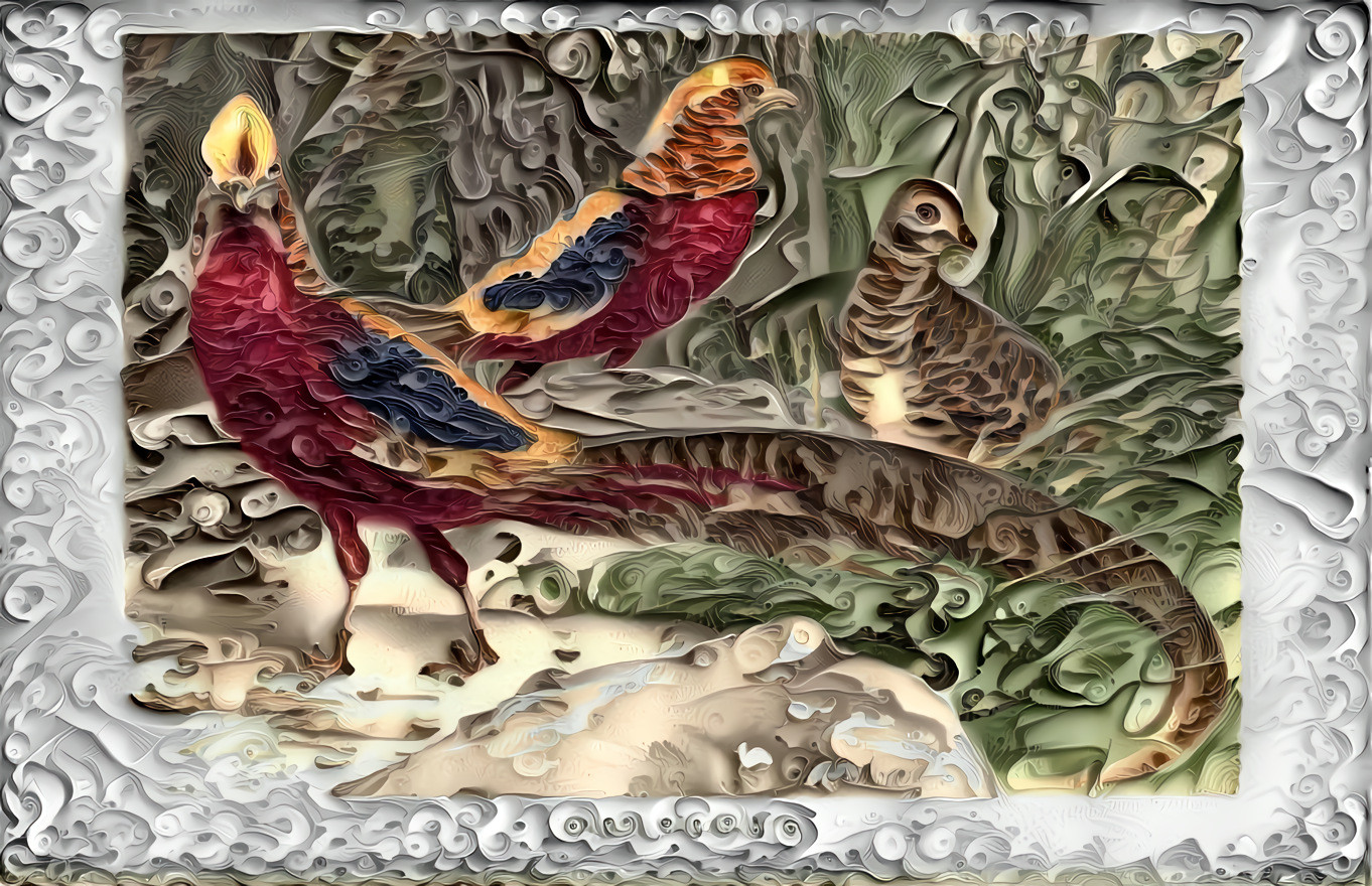 Pheasants Illustrated 