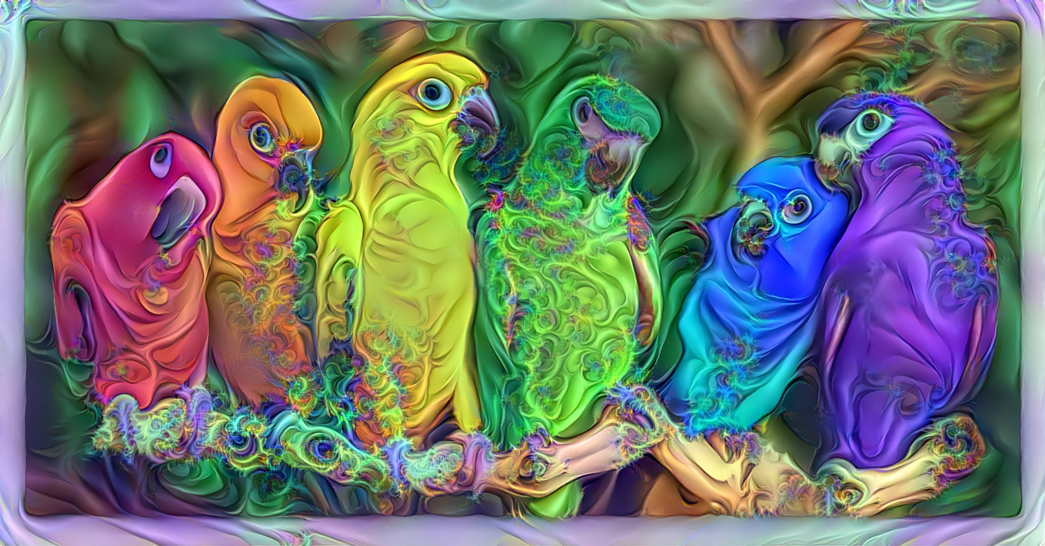 Pride Parrots can be seen in June