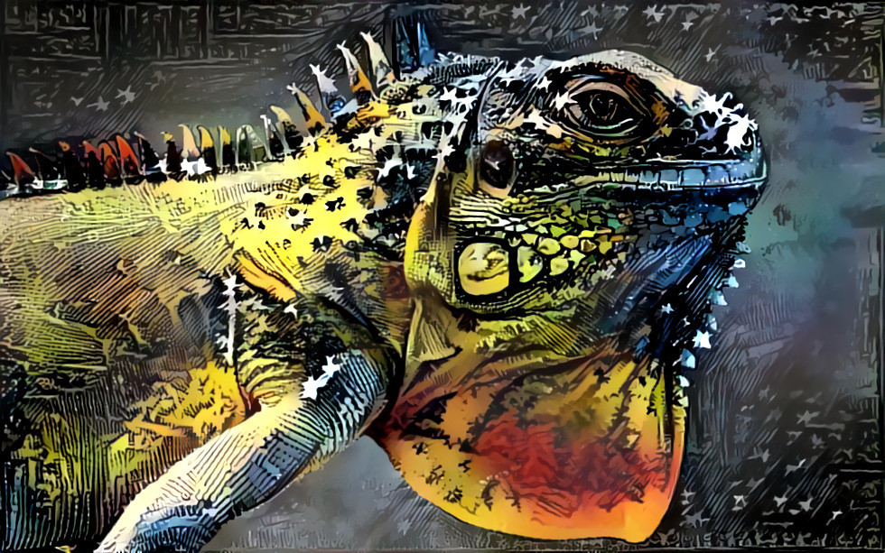 Lizard & colored chalcography