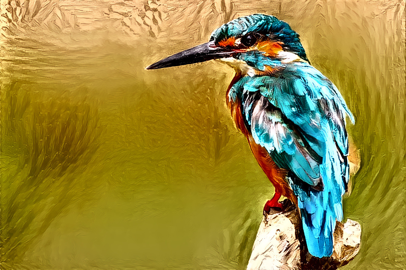 Glimpse of a kingfisher..