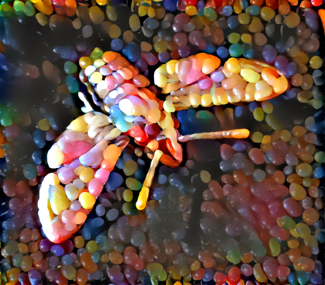 Candy Moth