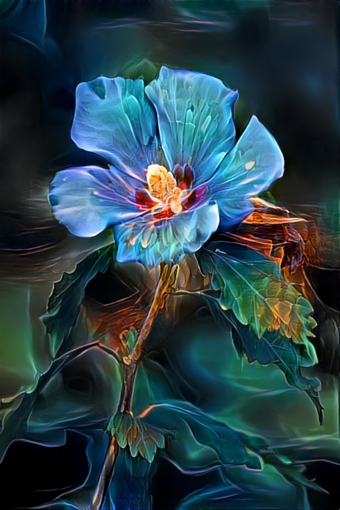 DDG Blue Flower