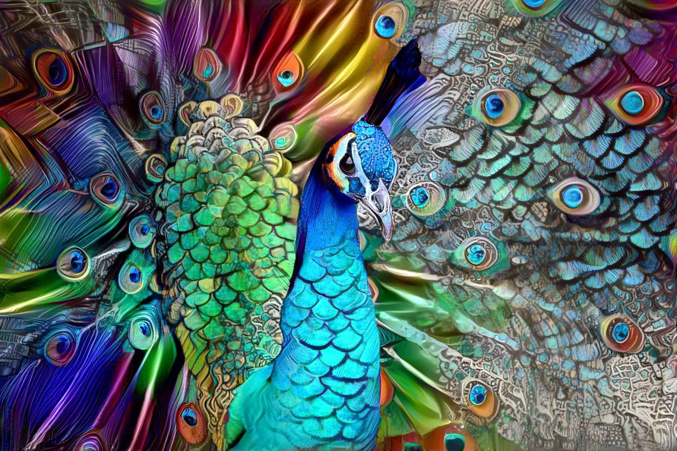 Colorful Peacock [1.2MP]