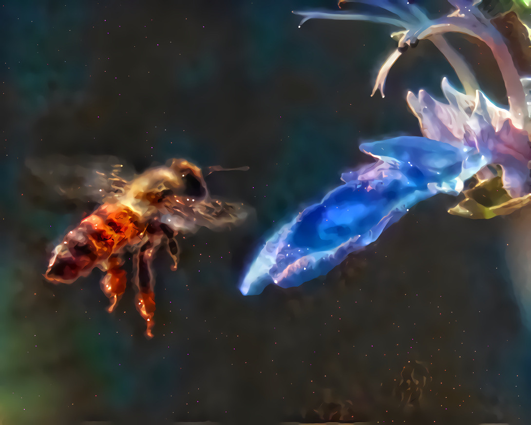 Bee Space