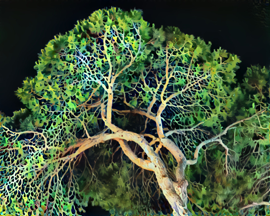 Pine tree. Style painted by me over...