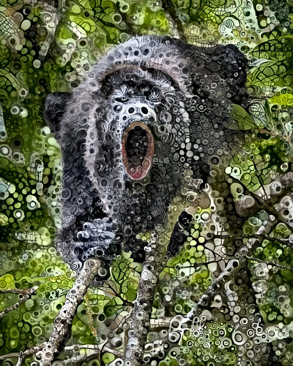 Howling Monkey