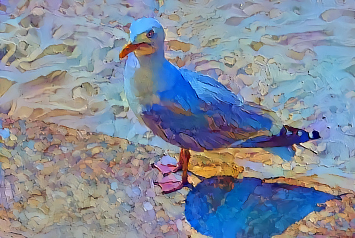 Seagull on beach of St Ives, Cornwall