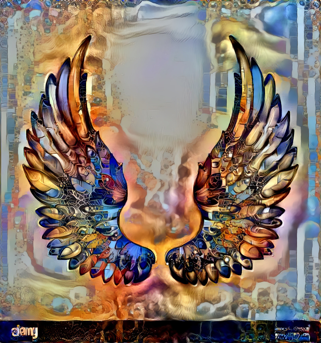 “Colorful Wings”