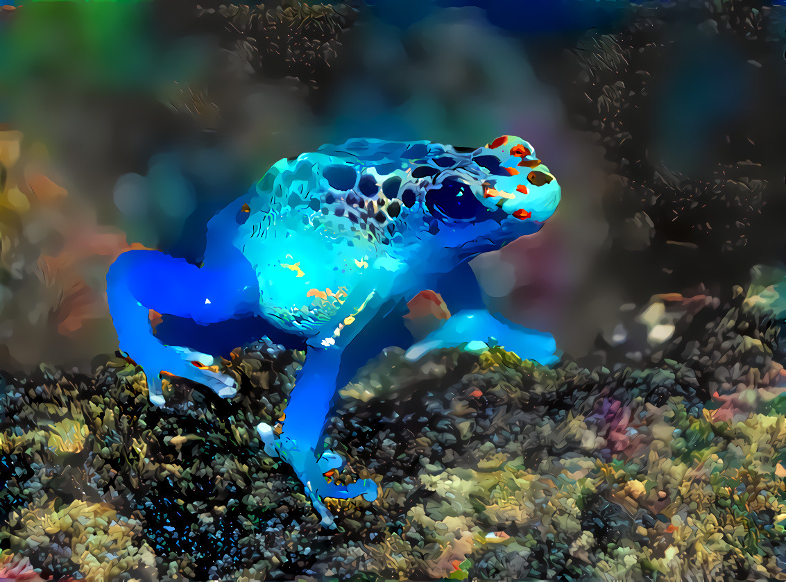 Blue Glass Frog