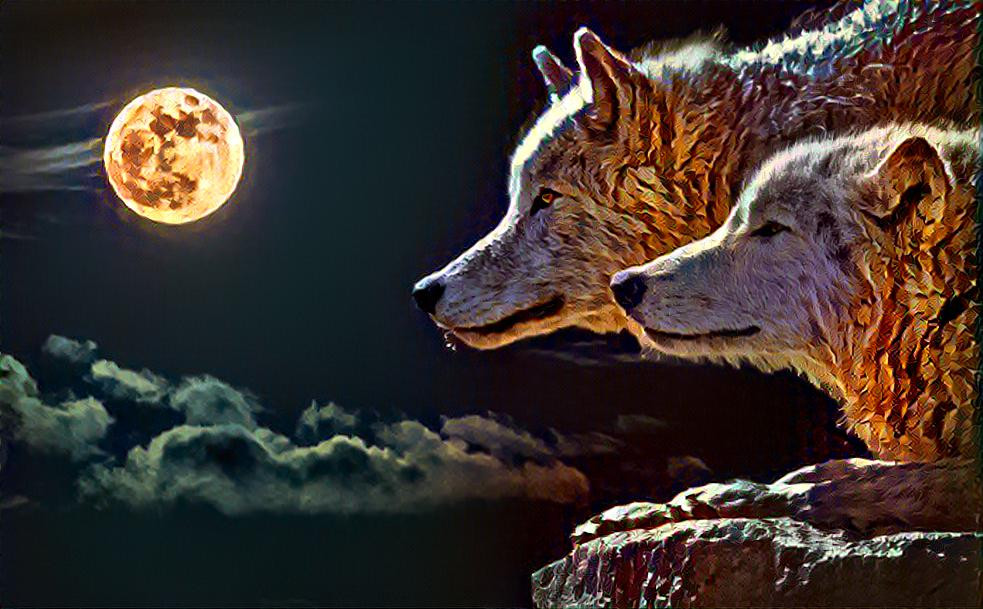 Wolves in moonlight