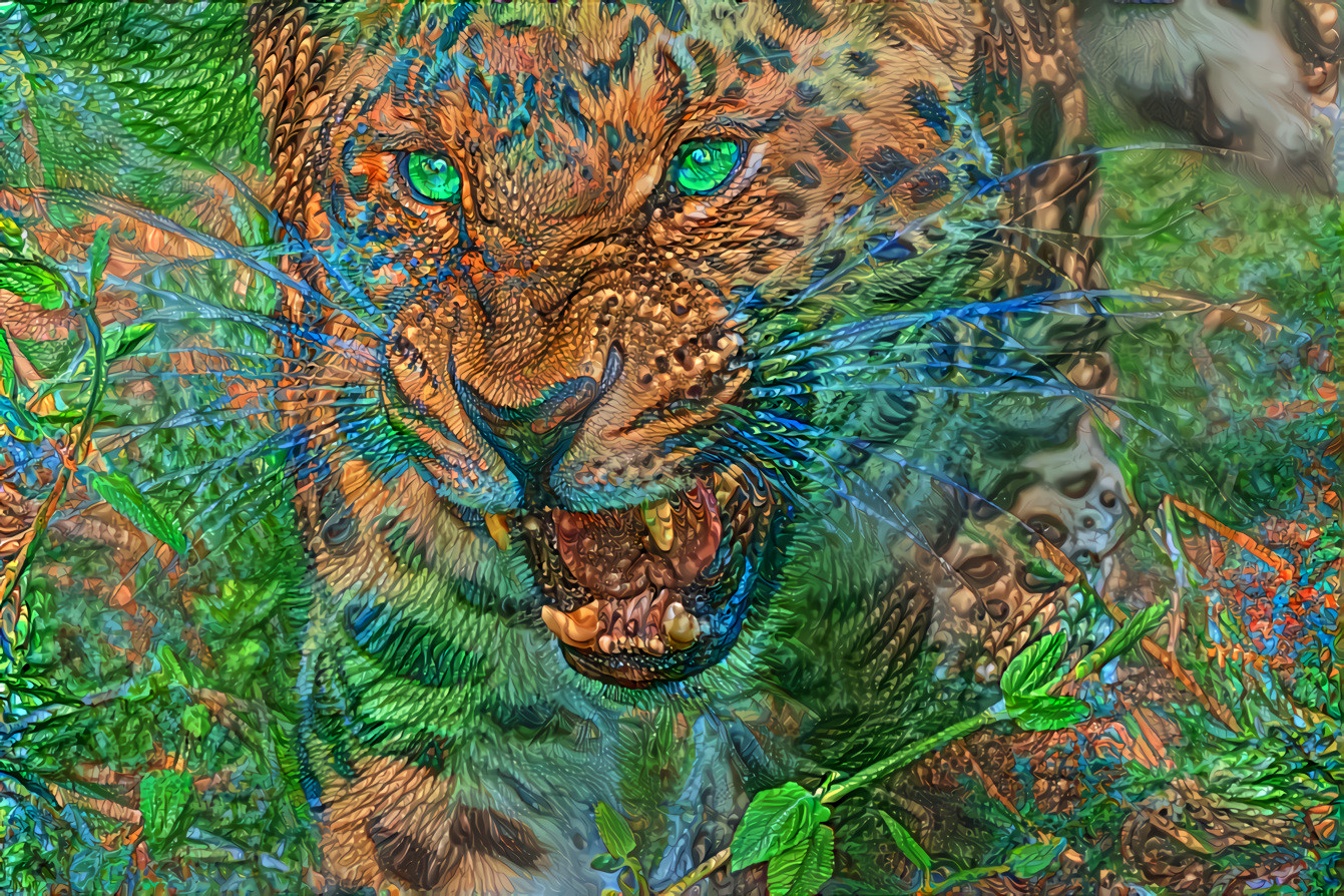 Jaguar Dreams 