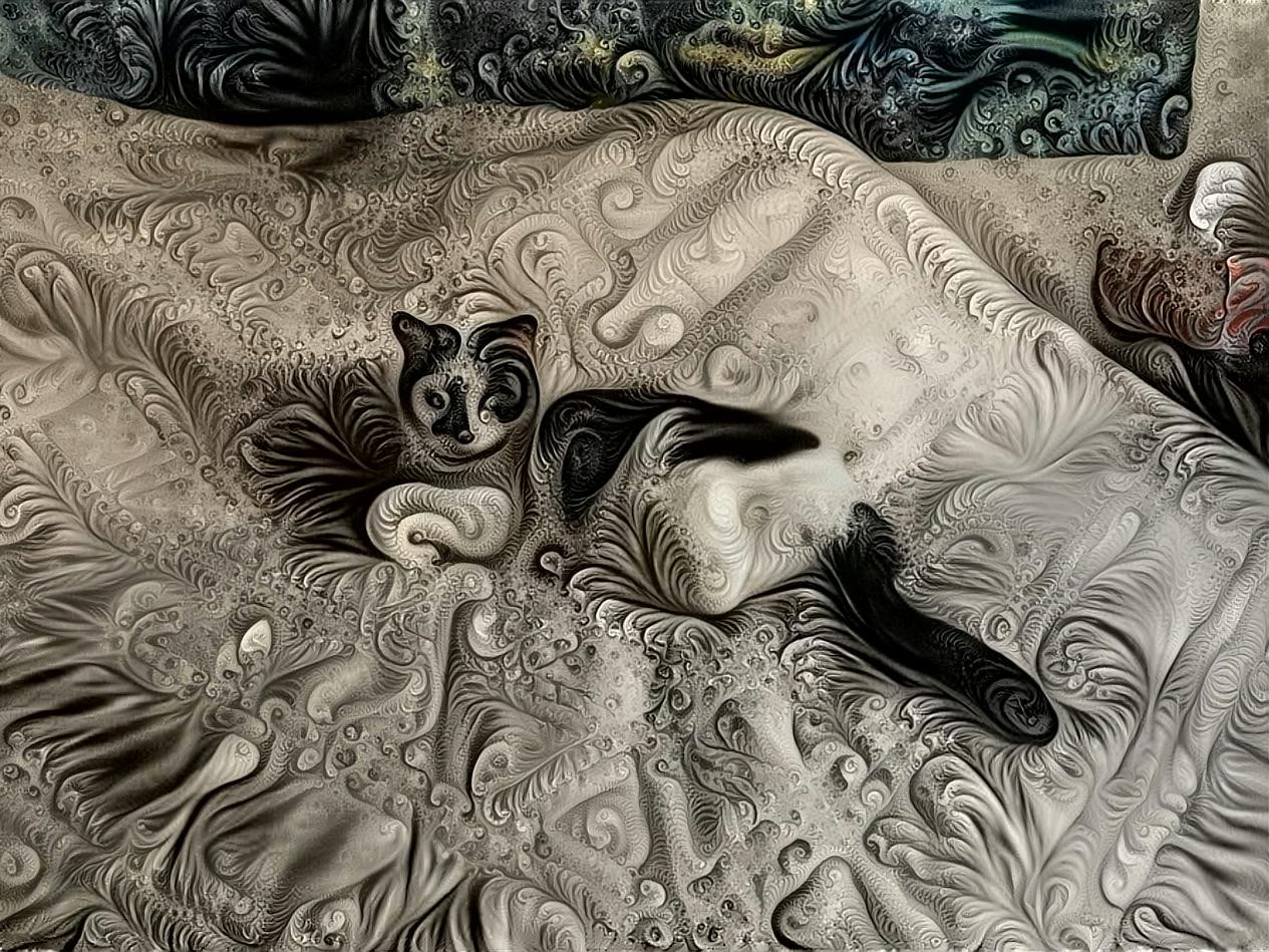 Miew on wrinkled bedcover