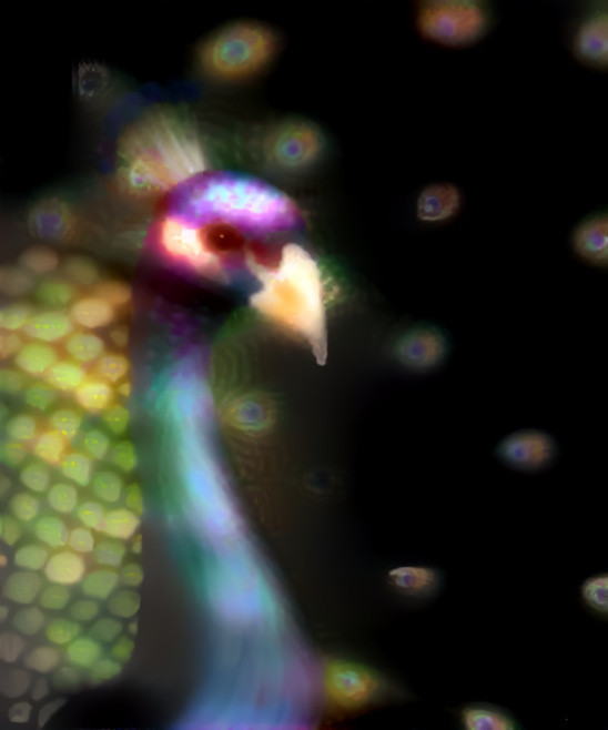 Dreamy Peacock