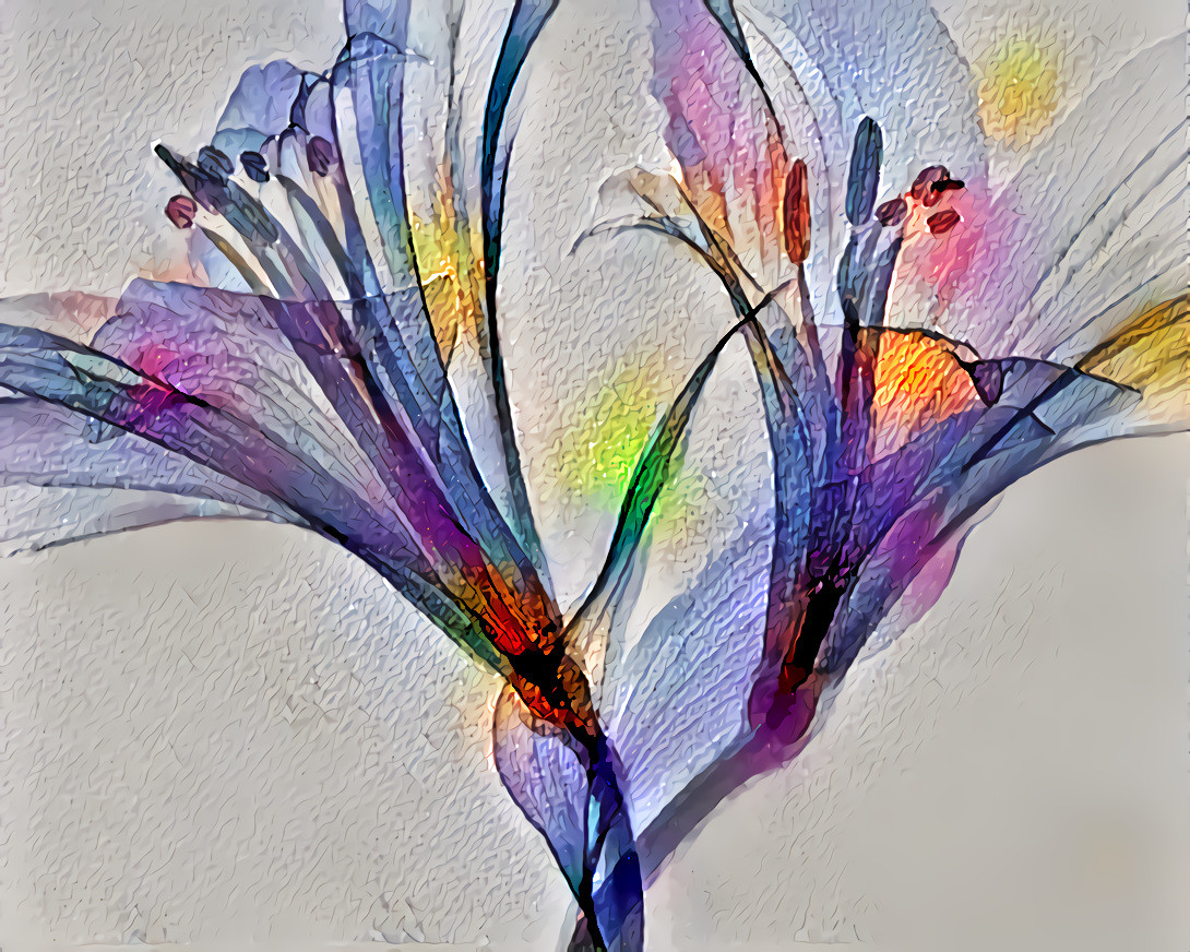 Micro X-ray of Two Flowers, New Jersey Institute of Technology. Photo by Mathew Schwartz on Unsplash.